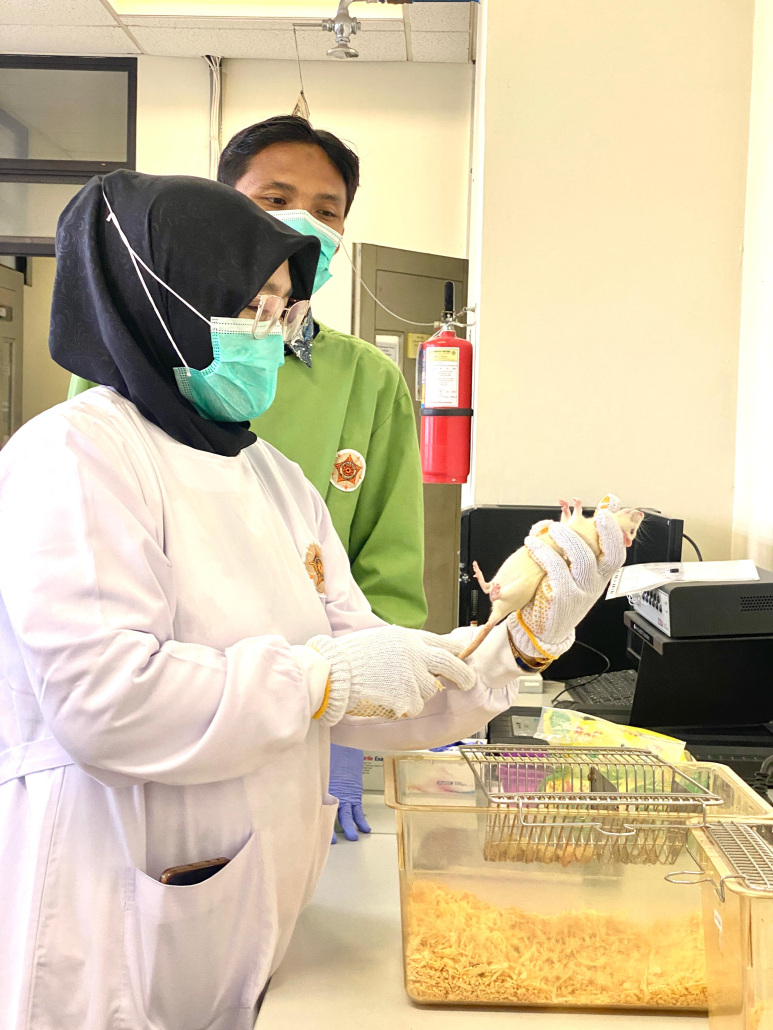 Dokumentasi kegiatan Workshop Galaktogog